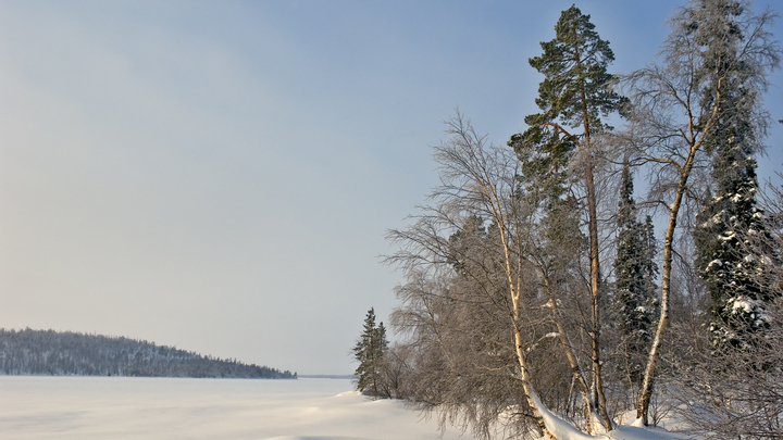 На связь не выходят: В Заполярье потерялись мужчина и мальчик