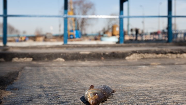 Река в Подмосковье стала красной посреди зимы