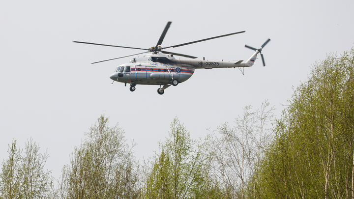 В Миллеровском районе Ростовской области спасатели защитили от лесного пожара хутор