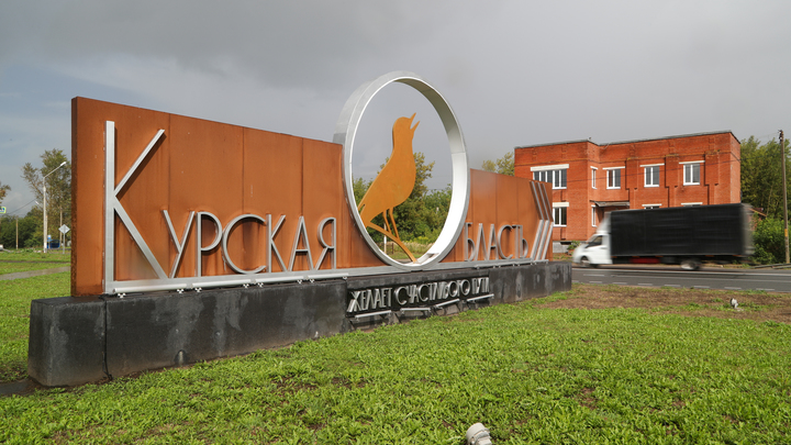 Это небезопасная игра: Немецкий генерал раскрыл цель атаки ВСУ на Курскую область