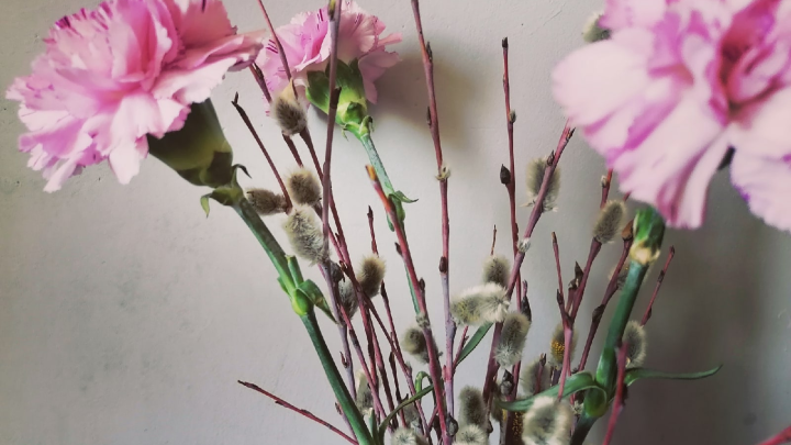 Вербное воскресенье в Малых Корелах: программа праздника