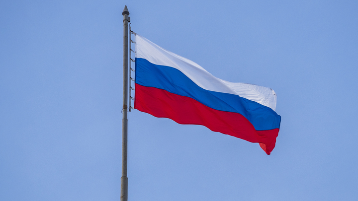 День флага России в Санкт-Петербурге 2023: программа праздничных мероприятий