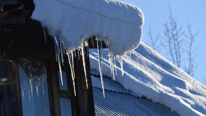 Коронавирусу в России не нравится: Иммунолог объяснил спад заболеваемости COVID-19