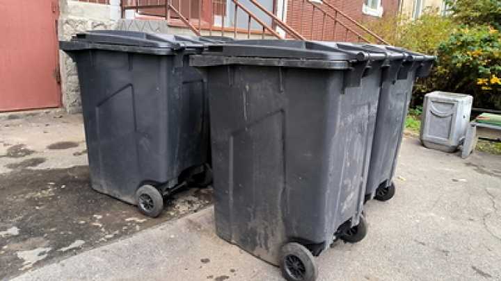 Мэр Вильнюса похвастался мусоркой для гвоздик, свечей и советской ностальгии