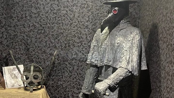 В Ростовской области займутся профилактикой чумы по рекомендации Роспотребнадзора
