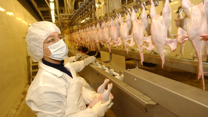 В новосибирском Минсельхозе объяснили подорожание куриного мяса на 5,9%
