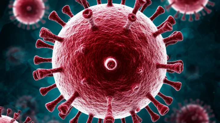 От оспы обезьян в Европе до мутаций H5N1 – мир на грани Болезни X