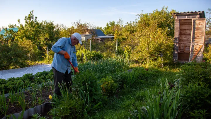 Юрист объяснил, когда установка дачного туалета грозит штрафом