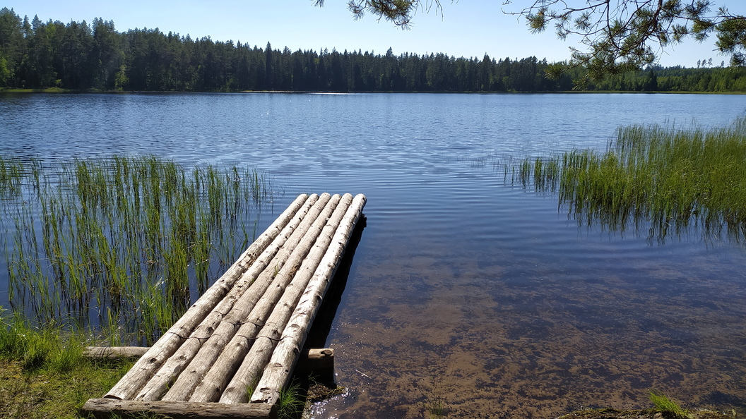 Подмосковные водоемы. Озеро Шувакиш Екатеринбург. Шувакиш (озеро). Осиновое озеро Ульяновск.