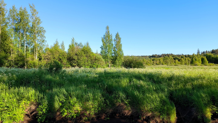 Балицкий оценил обстановку на запорожском направлении