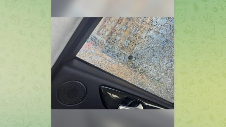 Неизвестный обстрелял автомобили на парковке в Новом Пушкине