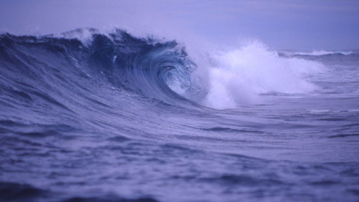 Нашли случайно: в Тихом океане спасли дрейфовавшего 3 месяца без еды мужчину и его собаку