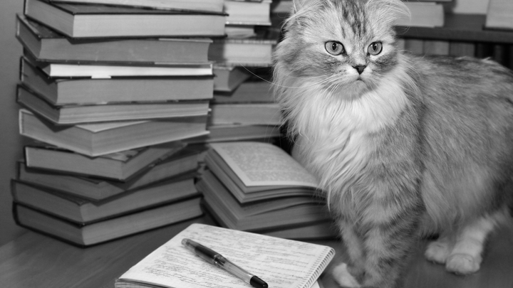 Петух в штанах и гончие псы: В Сети опубликовали рисунки школьника XVIII века - фото