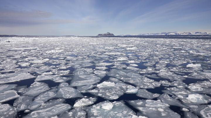 Роснефть летит в Арктику спасать белую чайку