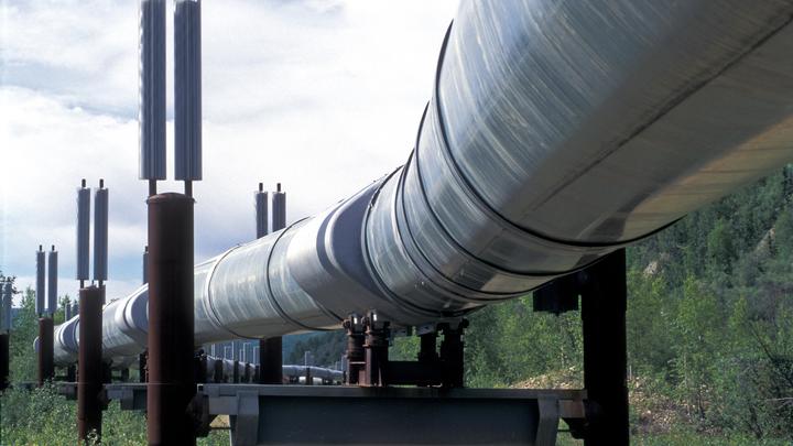 Украинский политик раскрыл причину пугающих платёжек на газ: Это афера века
