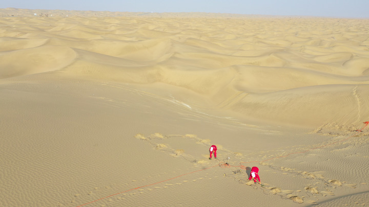 Перекачивают сотни баррелей в сутки: Раскрыта новая нефтяная схема США в Сирии