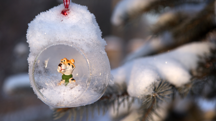 Из минуса в плюс: В Краснодарском крае на выходных ожидается до +13 градусов