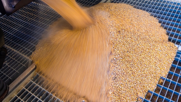 Медведев предупредил о возможном разрыве зерновой сделки