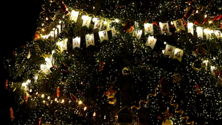 Искусственные елки опасны для человека: почему