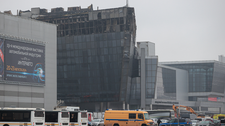 Почему исполнителей теракта искали в Таджикистане? Правда, которая проясняет всё