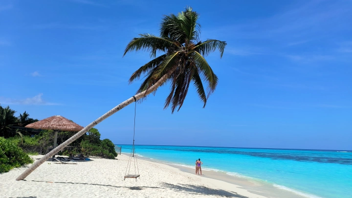 Роман Вильфанд заявил, что 2025 год войдет в ТОП-5 самых жарких