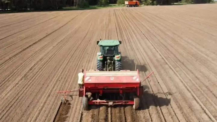 Аграриям Поморья выделят свыше 446 млн субсидий