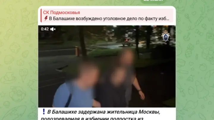 В Подмосковье задержаны еще двое участников группового избиения подростка