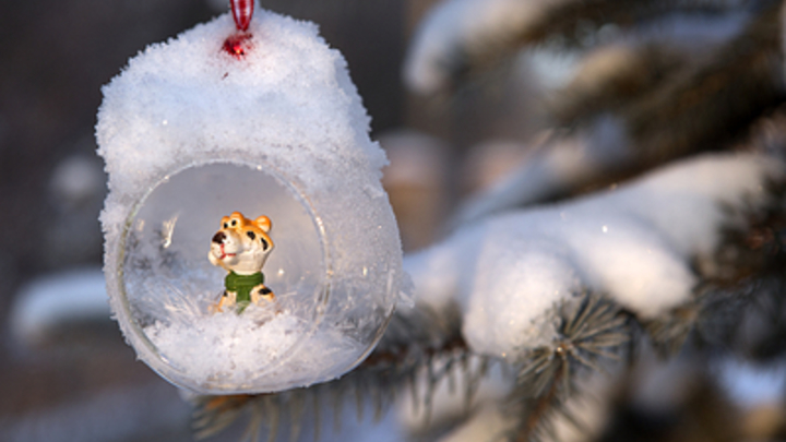 Как не впасть в уныние перед Новым годом: Советы от психолога