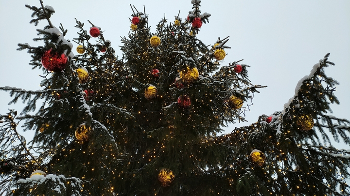 Кишинев преобразился к праздникам: в центре появилась елка, по районам - новогодние троллейбусы