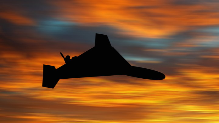 Москва и Тегеран договорились о начале производства боевых дронов