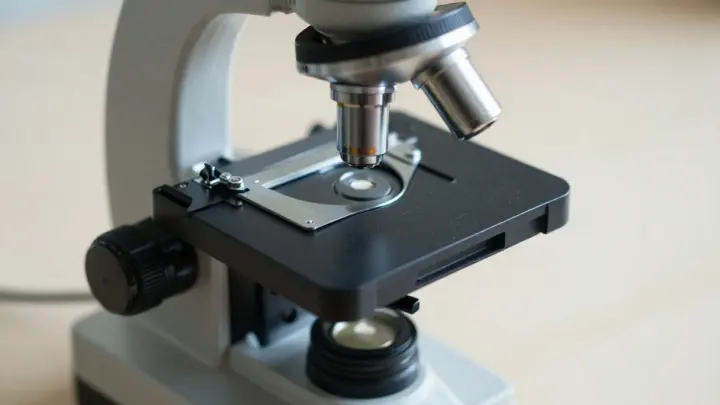 В Корее придумали способ остановить рост жировых клеток