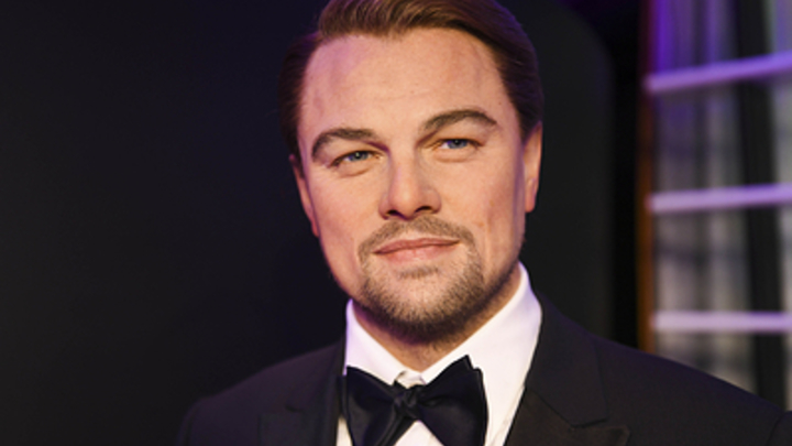 Леонардо Ди Каприо чуть не погиб, спасая своих собак из ледяной воды