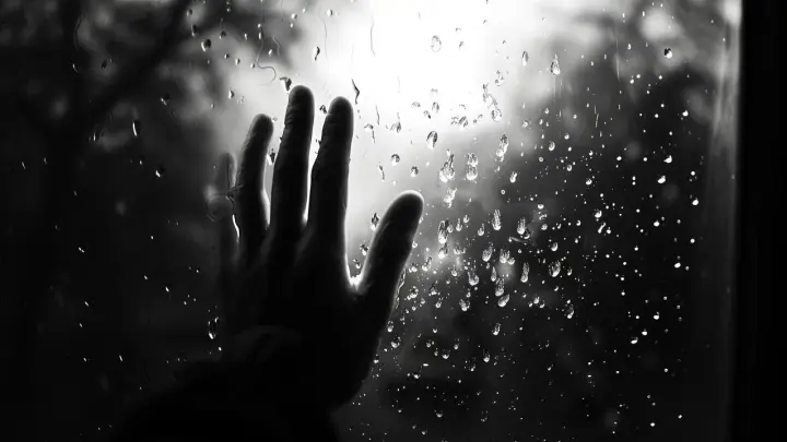 Незнакомец средь бела дня украл девочку из машины, пока папа ходил за цветами. Семья похитителя повела себя очень странно