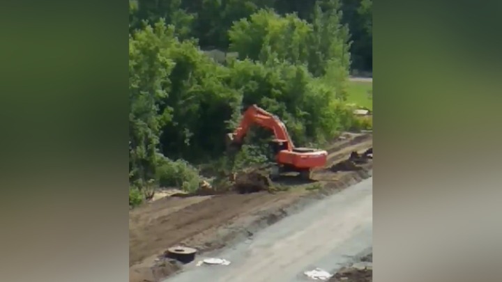 В мэрии Кемерова объяснили уничтожение деревьев в Рудничном районе