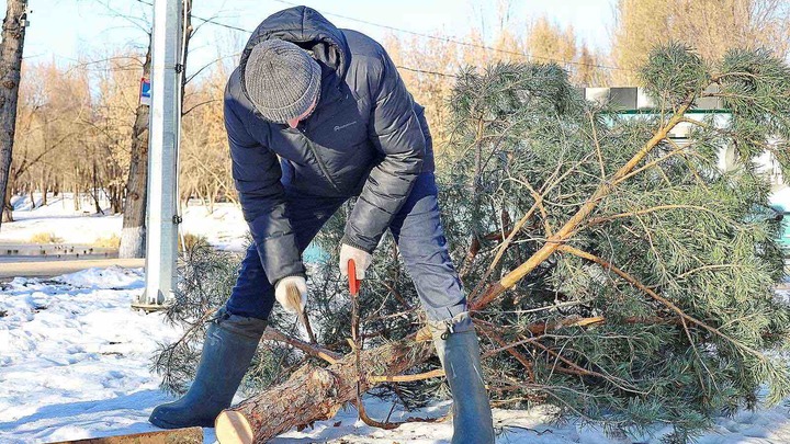 В городских парках Самары началась установка елочных комплексов