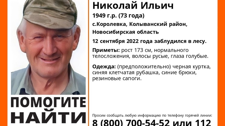 В Новосибирской области в лесу исчез 73-летний мужчина