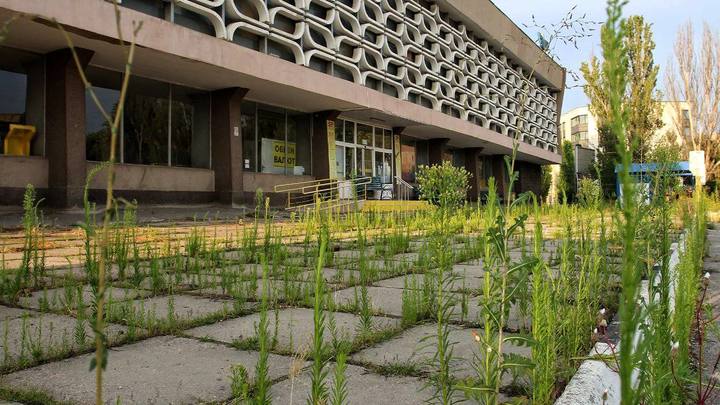 Улицы Херсона зарастают травой