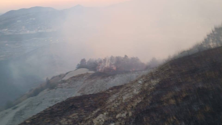 В Новороссийске пожар на Лысой горе локализовали на площади 1,1 га