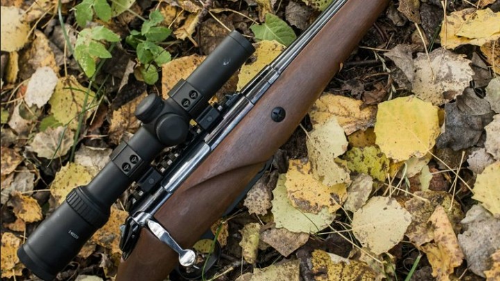 В Венгрии заявили о выстреле в ногу: Что наделали санкции против России