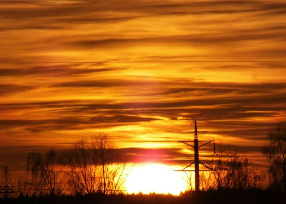 Прогноз учёных: Летом 2025 года ожидается пик солнечной активности