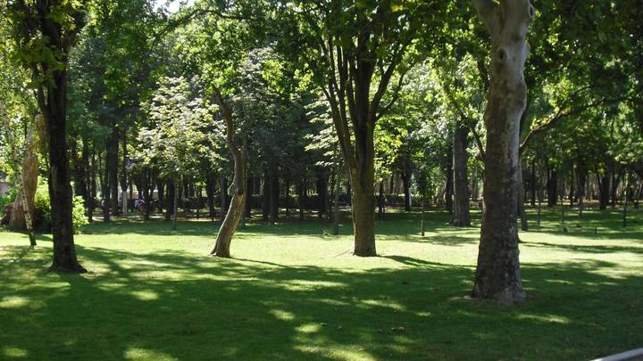 Жителей Краснодара просят воздержаться от прогулок в парках