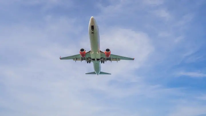 Авиаэксперт назвал столкновение с птицами возможной причиной крушения Ан-26 в Крыму