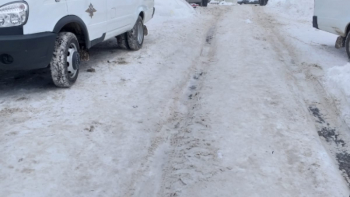 В Нижнем Новгороде полицейский выстрелил в собаку, напавшую на женщину