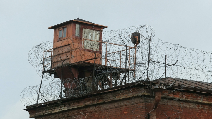 Голодающего в покровской колонии Навального по закону могут кормить принудительно