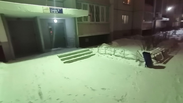 В Златоусте 11 щенков выкинули на морозе. Что с ними стало