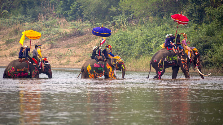 Казахстанский боксёр взял золото турнира в Таиланде без боя