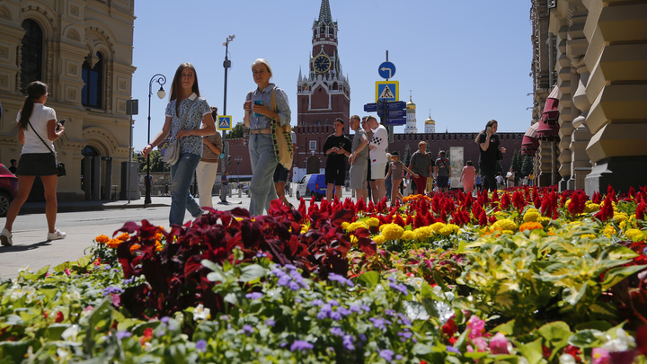 На общественно важные объекты выделят 137 гектаров земли в Москве