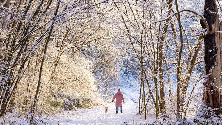 Зимой - опасно: Врач посоветовала любительницам диет сделать исключение