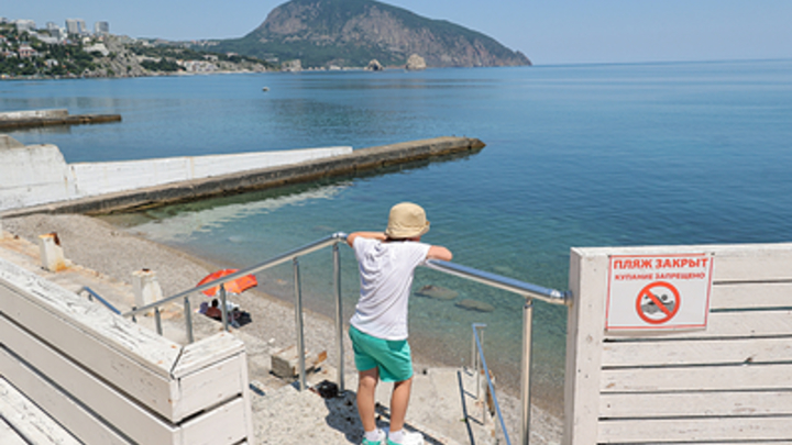 Как обработать рану, порез на пляже без аптечки: Советы врача