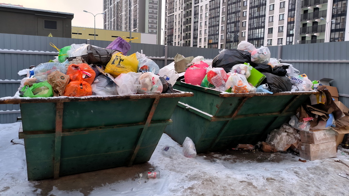 В Новосибирской области 1 млрд рублей вложат в объекты обращения с ТКО